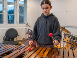 Marimba og vibrafon